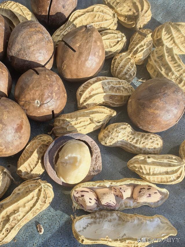 柯街黑温泉度假之旅，最后一个赶集日的烟火与日常