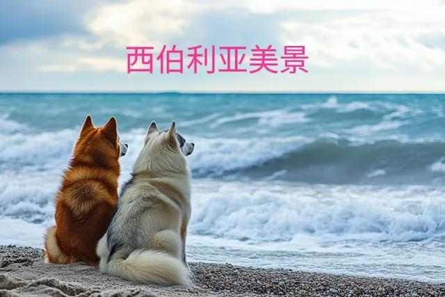 福地～中国
