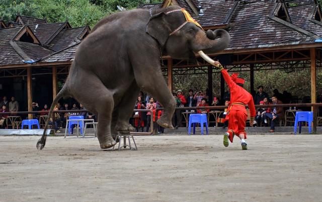 云南各民族奇特的节日
