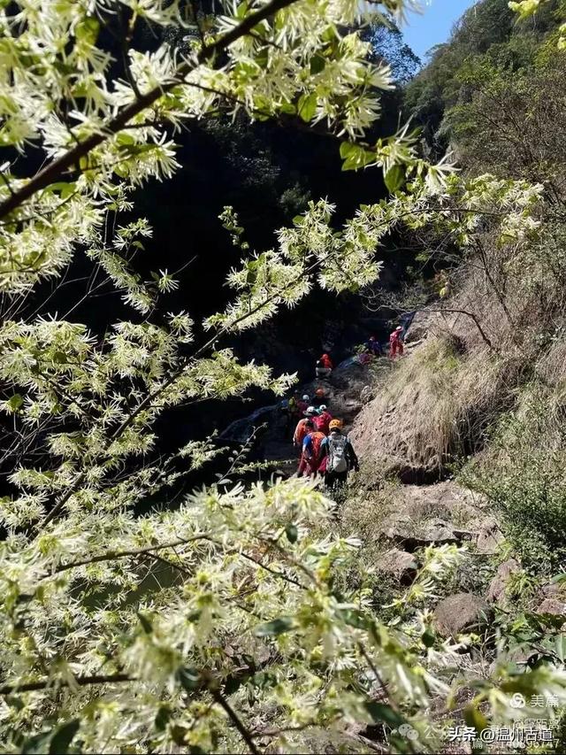 温州这条可至4A景区的著名峡谷穿越线路，风光独特，你可去过？