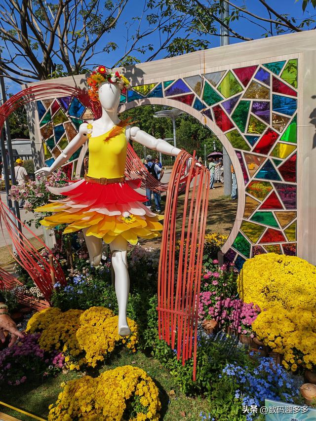 广州66届羊城菊花展，快来看打卡攻略