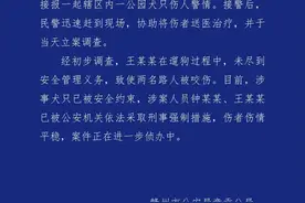 母女遭4条大型犬撕咬！警方通报：2人被采取刑事强制措施图片