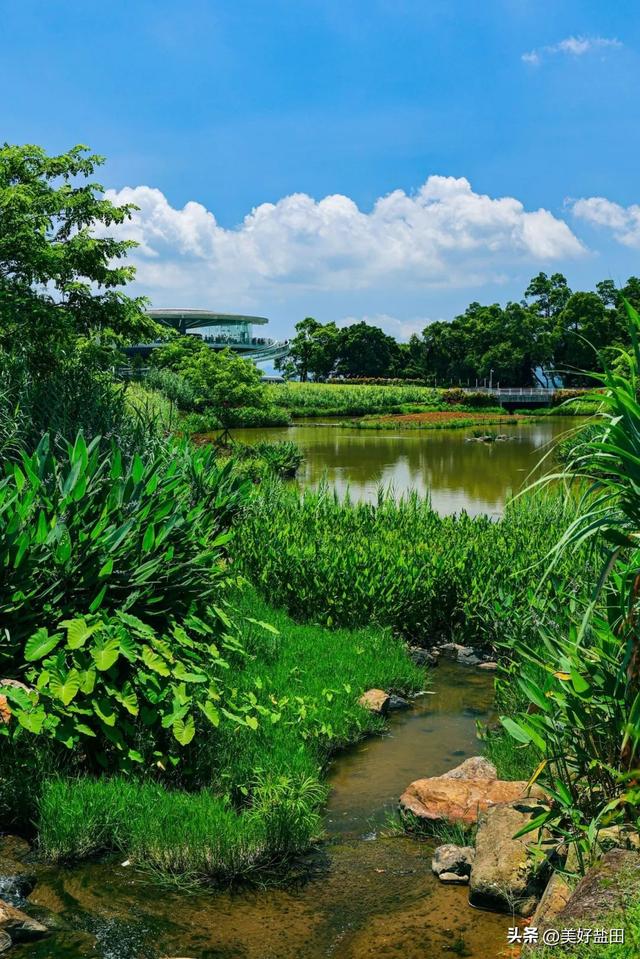 深圳新手必刷！5公里山海徒步，地铁直达→