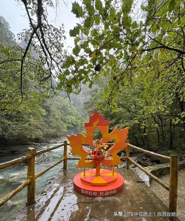 汉中顶流红叶秘境“上线”!本周末进入最佳观赏期!