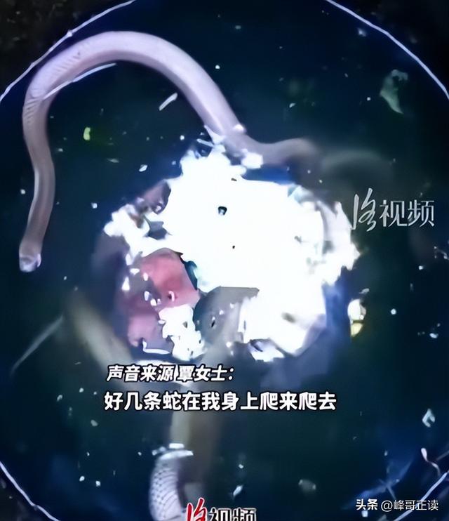 福建女子坠井54小时：被蛇缠身，淹在井水里，想着父母坚持下去