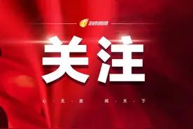 消博观察：新能源汽车能在海南“走多远”图片