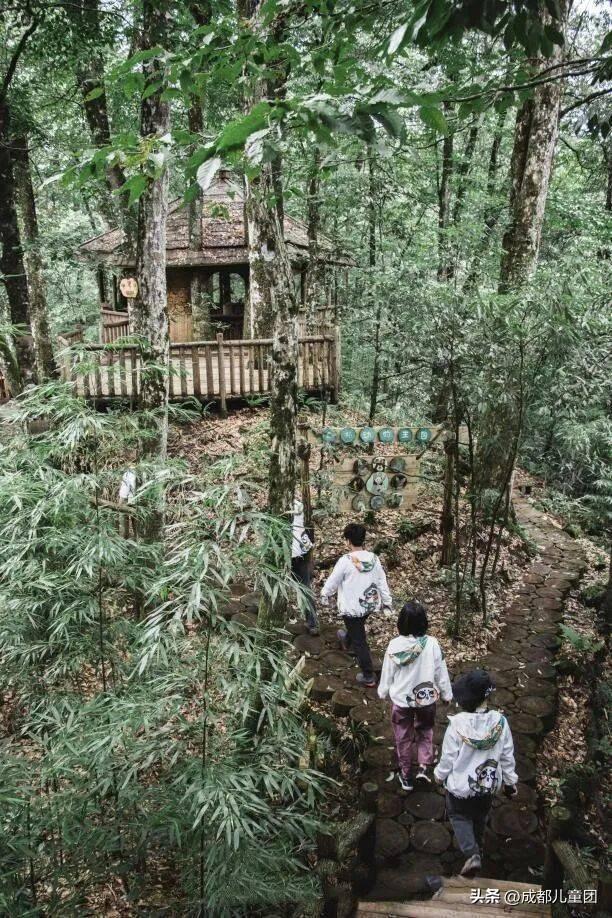 国庆去哪儿？草原金秋、潮汕舌尖味、熊猫守护……4条错峰优选线路，安排！