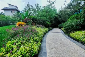 我68岁，找到一种妙不可言的养老方式，有人陪不孤单，过得很舒心图片