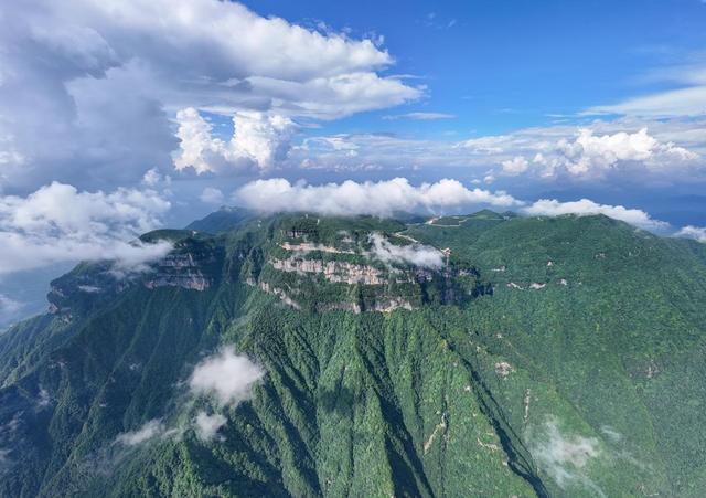 “秦岭四宝和它的朋友们”媒体团走进南郑，共探生态与文旅融合新篇章