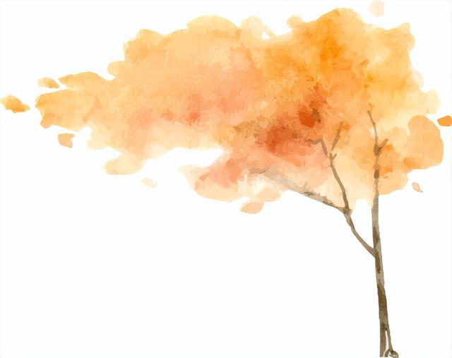 当水杉红遇上元旦红，这个假期来湘湖点亮新年希望~