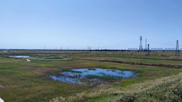 包头天下黄河第一村，靠着黄河边，风景还是不错的