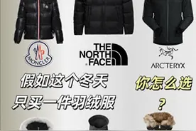 答应我：中年男人羽绒服别穿北面、大鹅，换这些中产品牌更高级图片
