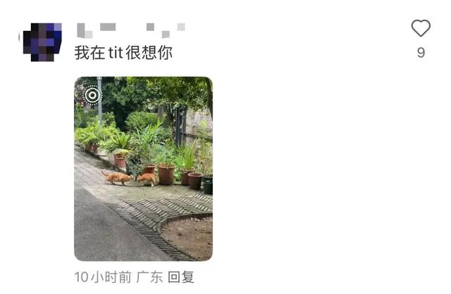 腾讯广州总部乔迁，第一天就有人蹲帅哥