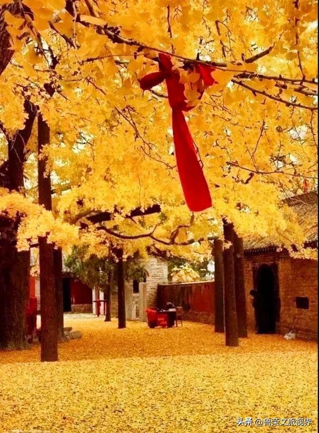 11月旅行：在山河秘境中，邂逅最本真的秋日浪漫