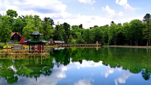乘着高铁游白山 | 皖美夏日