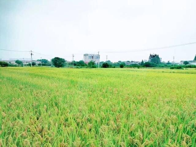 苏皖边界行系列之四：历史乌江，今昔跨界