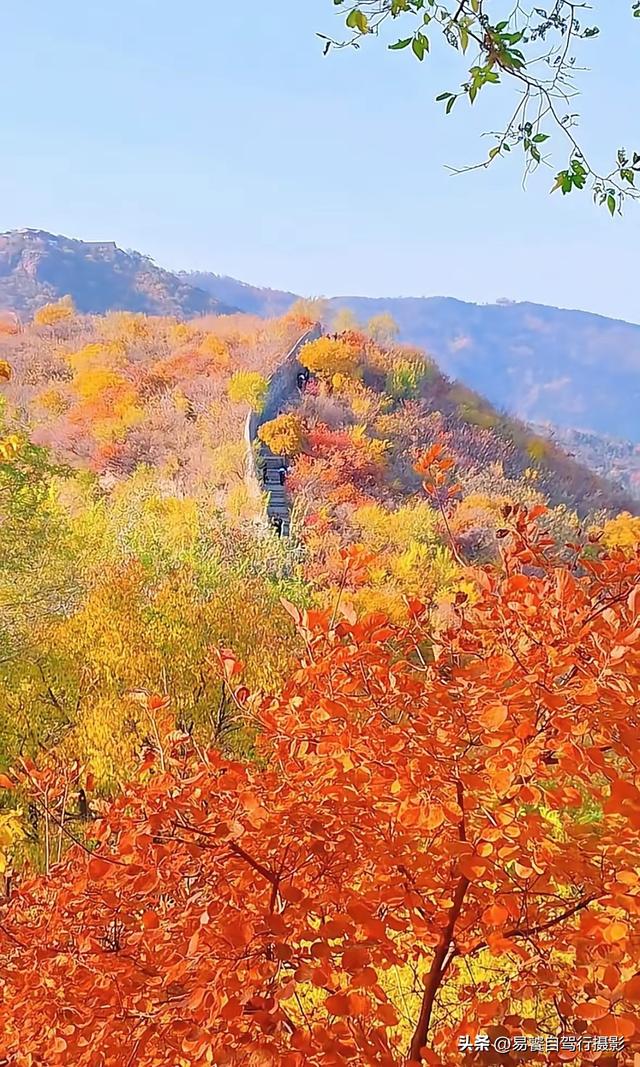 香山红叶摄影进阶：必须掌握这6个实战技巧，张张出大片成顶流