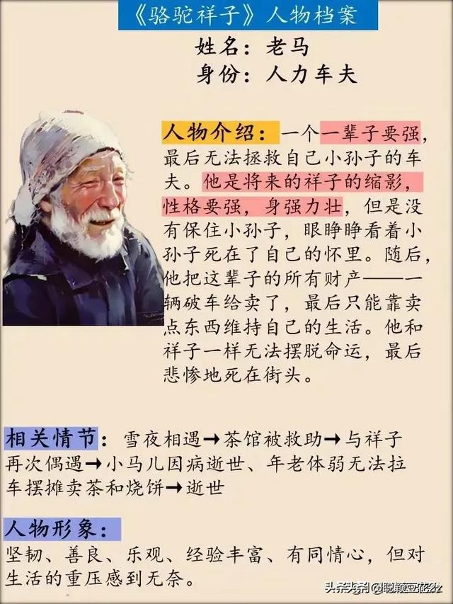 《骆驼祥子》人物分析
