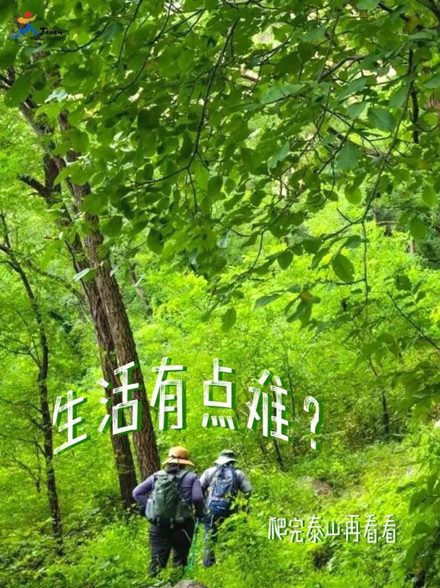 泰山再出神图！8个惊叹瞬间+走心文案超治愈 网友：被戳中，要哭了！
