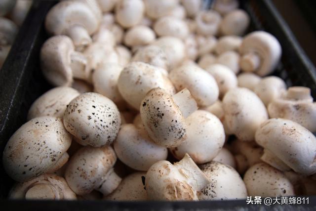 认识大美河南的每个县——第32波：清丰