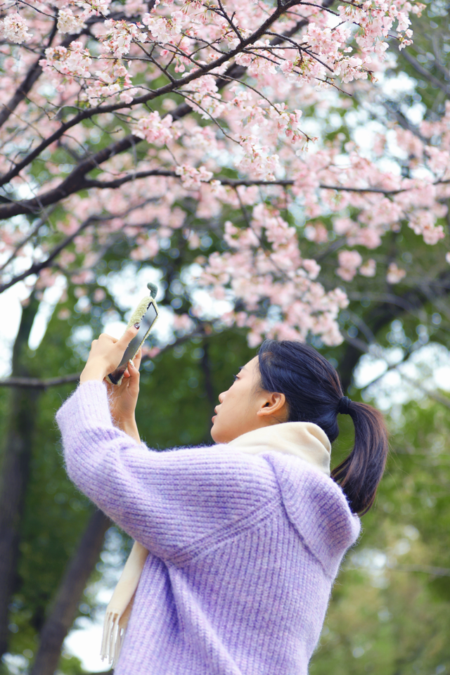 快来芙蓉区晓园公园，共赴一场春日樱花的约定！