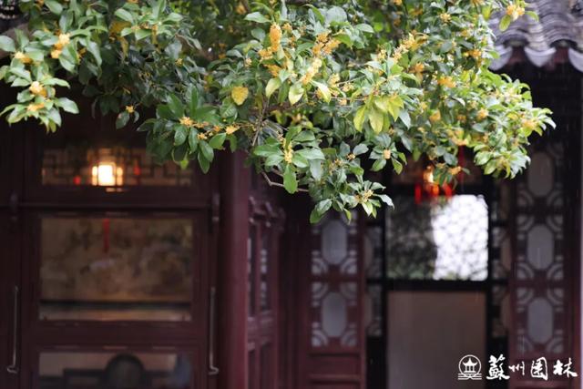 桂香满城！苏州桂花赏花地图来了！