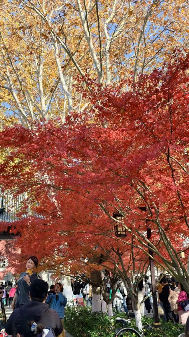 人挤人的南京，现在还值得去吗？