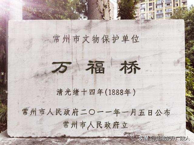 木槿花开时 再探常州万福桥