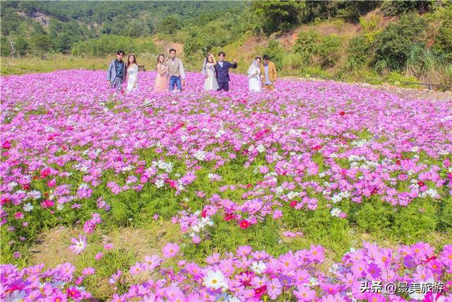 佛山两个网红景点国庆假期开放，百花与蓝湖相辉映火爆旅游市场