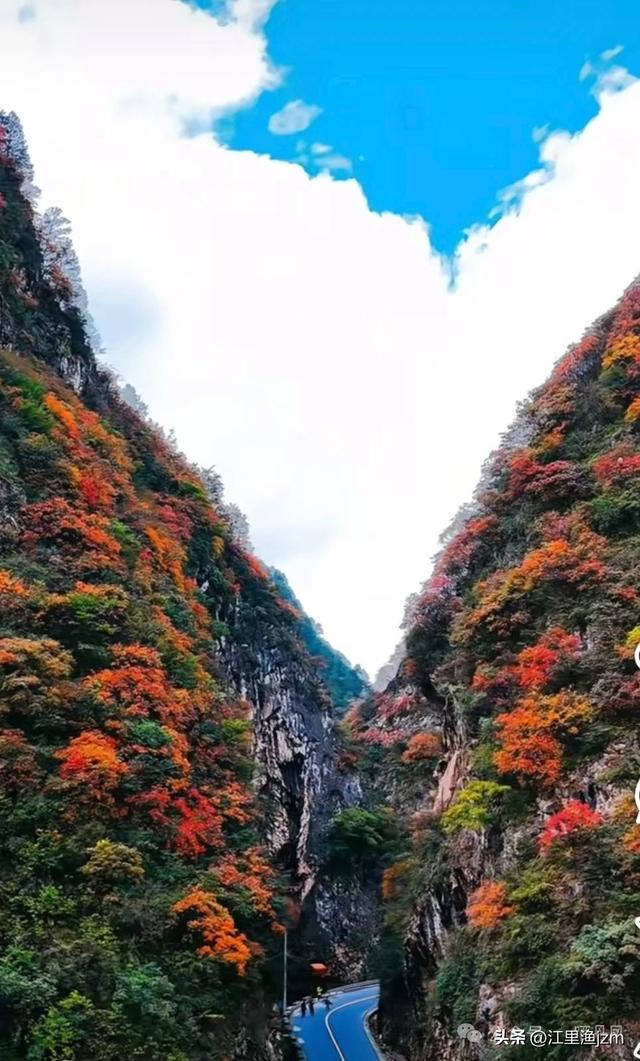 红叶漫山秋意浓