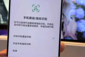 好消息，鸿蒙版微信即将上线指纹和人脸支付图片