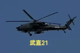 武直21与阿帕奇直升机在战场上相遇哪个更胜一筹？图片