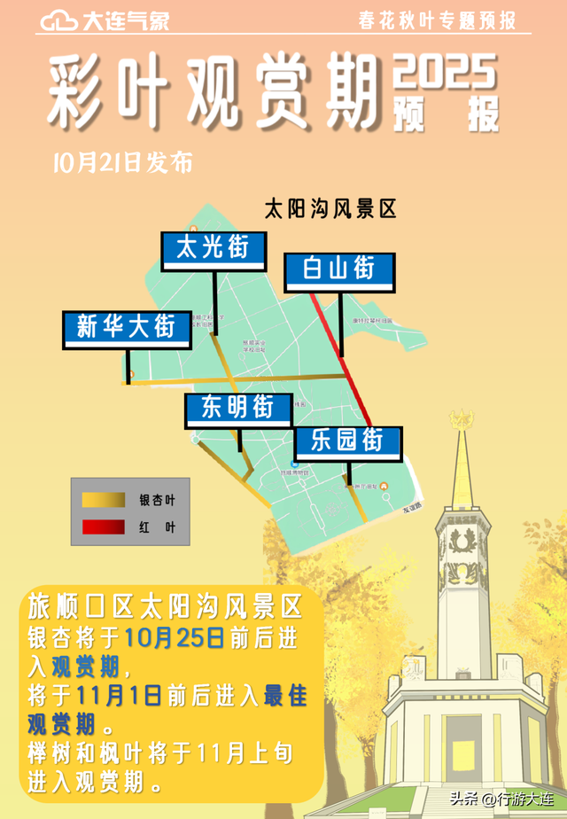 抓住这场金色盛宴！银杏“出片季”正式开启！