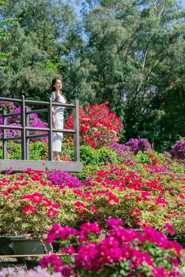 挤爆了！今天莲花山都是人人人，网友：感觉全深圳都来了！