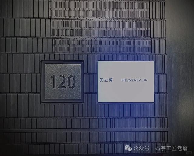 菜胆 花胶 2026年花胶炖菜胆