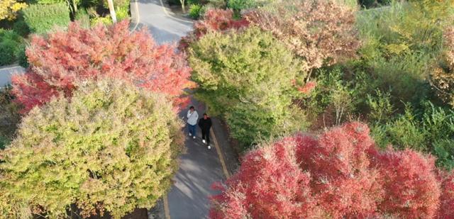 余庆的初冬，就藏在这些地方！