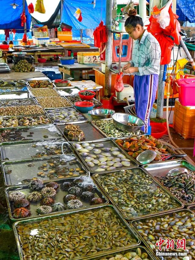人这一辈子，一定要去一趟海南看海玩海🤩