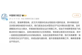 强降雪致武汉部分航班长时间延误后取消，南航致歉图片