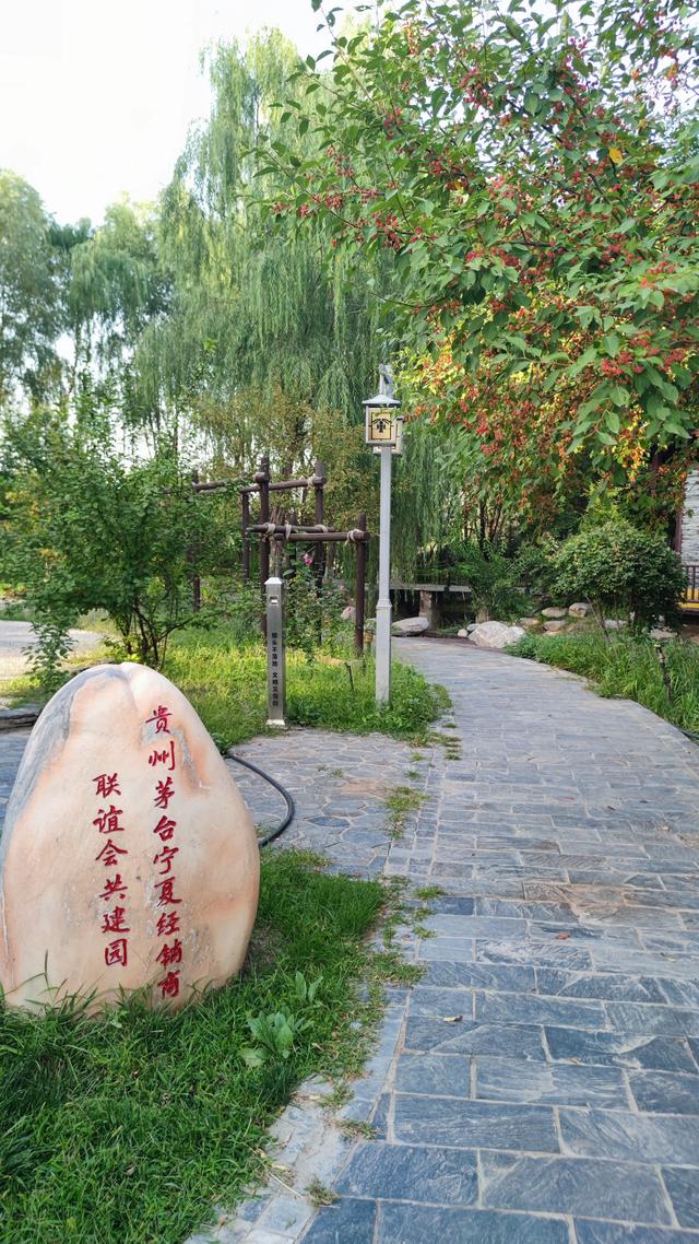 银川花博园真的好大，好大，是我见过的最大的花园