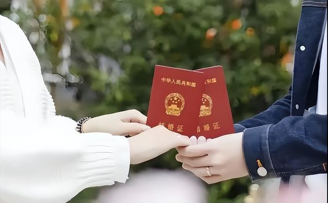 加拿大如何一步步沦为“复制版印度”？50年“多元文化”的教训！