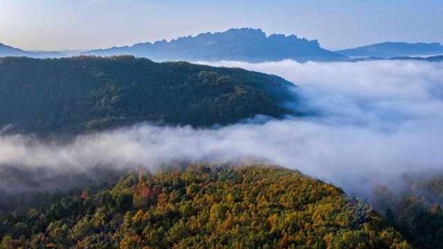 邂逅剑门蜀道的斑斓冬日