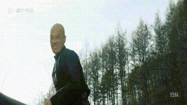 电视剧《归队》有多好看