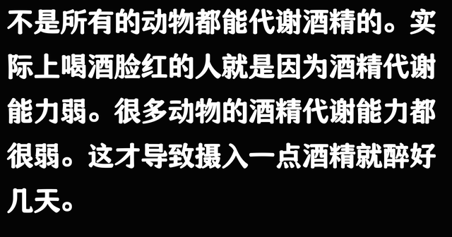 笑不活了！广西柳州一女子用酒糟喂鸡，鸡醉了三天，评论区笑翻了