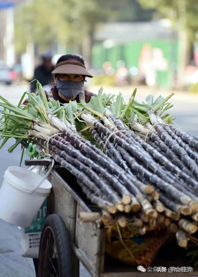 旅居云南｜德宏，是你安放身心、享受生活的最佳过冬地！