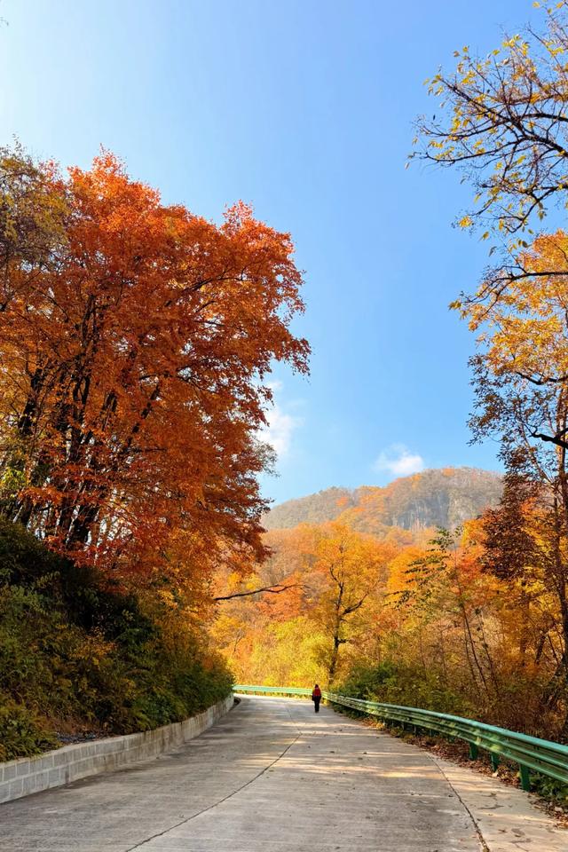叮！龙头山秋日余额已不足！期待新一轮的冬雪到来~