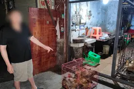 戴口罩偷鸡，4个月作案50余次！两名犯罪嫌疑人被警方采取刑事强制措施图片