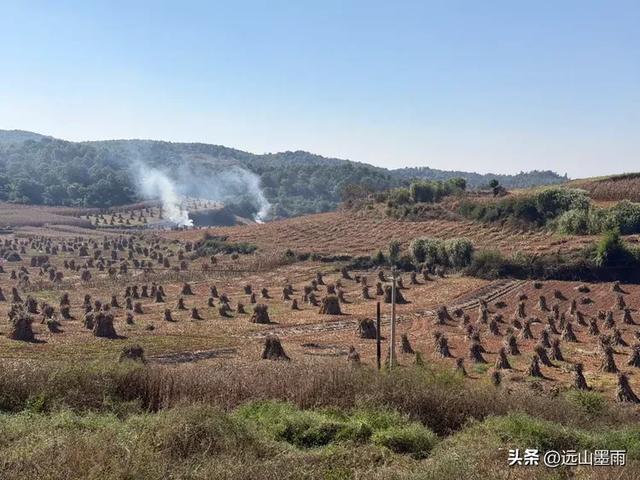 走石林仙女湖、观雷打石石林，徒步穿越绵延石林间，我们惊叹不已