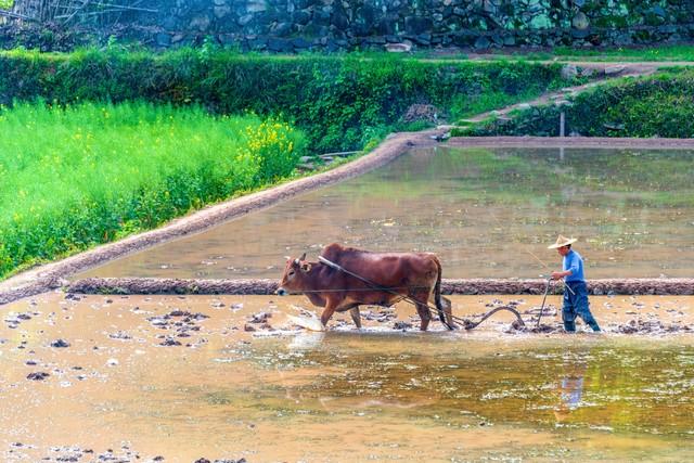 山河万里皆吾乡，此生无悔入华夏