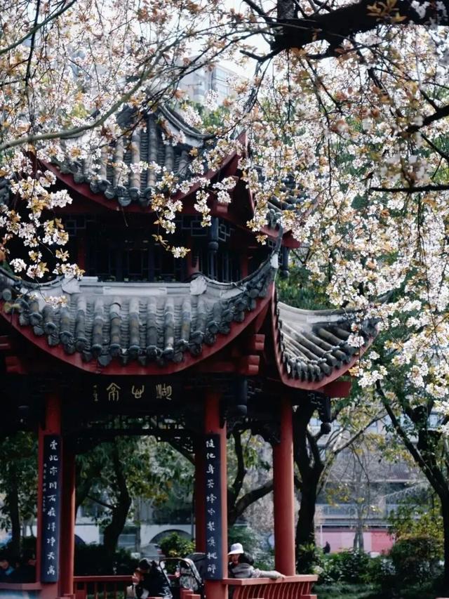 成都公园的中式美学也太绝了，这波必须狠狠夸！