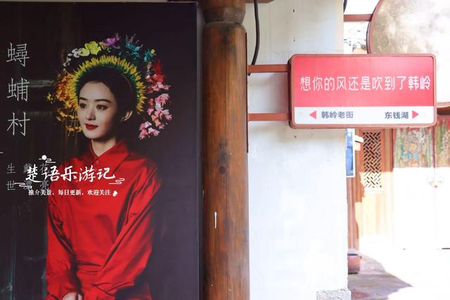 浙江宁波这里被誉为梵高画境，向日葵已谢但百日菊花开，老街更美